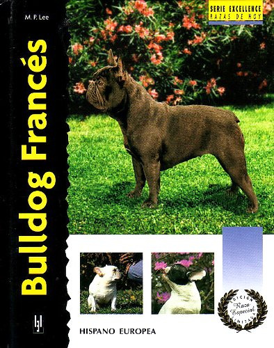 Bulldog Frances -excellence-raza Especial-