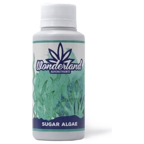 Sugar Algae 120ml Wonderland