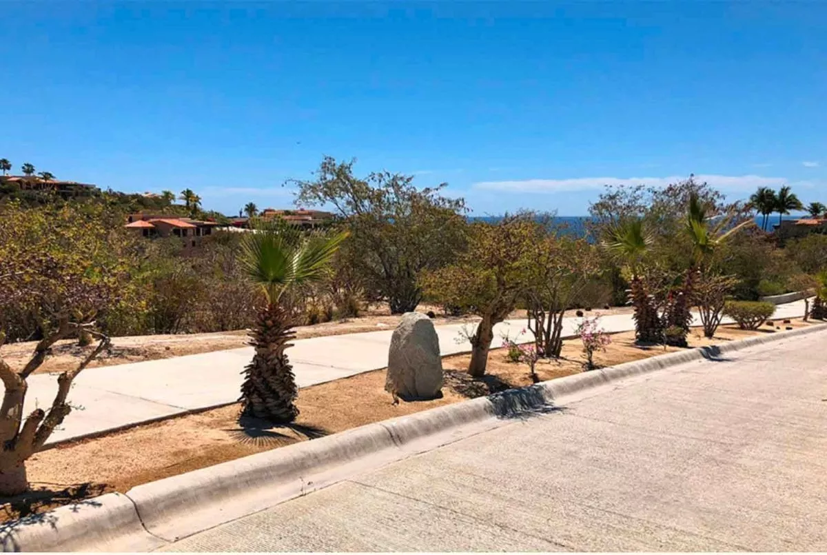 Venta Terreno Los Cabos San Jose Del Cabo