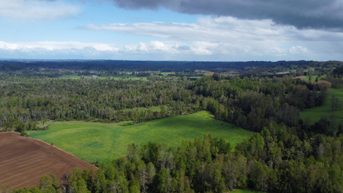 Campo En La Unión Cercano Al Lago Ranco 27,4 Hectáreas