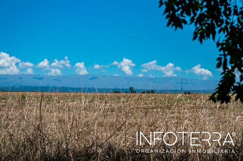 Imagen 4 de 14 de Lote En Venta Calamuchita Vista De San Ignacio