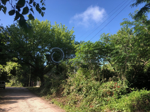 Lote En Venta En Barrio El Tejado