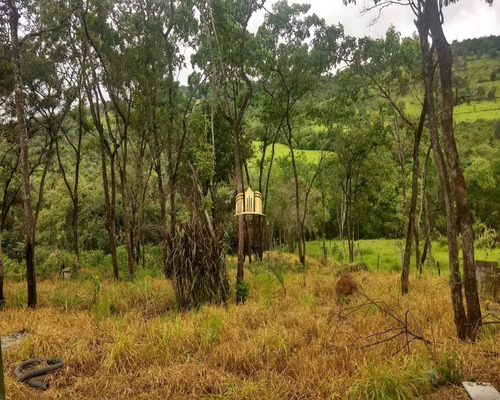 Imagem 2 de 11 de Chácara Em Esmeraldas - St00139 - 69925233