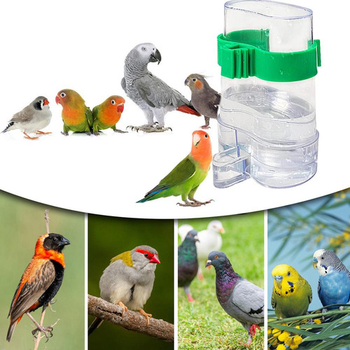 Dispensador De Agua Para Pájaros, Hervidor De Agua Con Drena