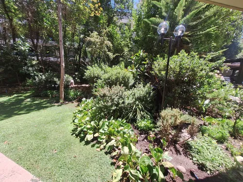 Hernando De Aguirre/providencia (79851)