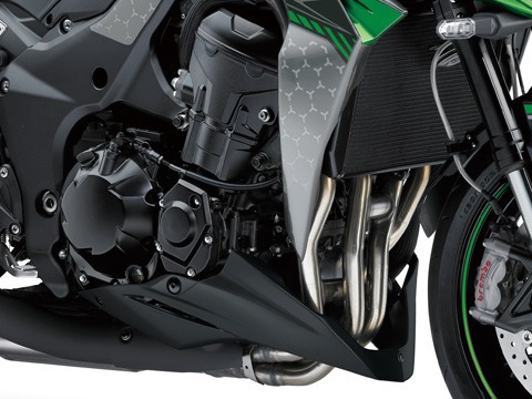 Z1000 R Edition 2020/2020