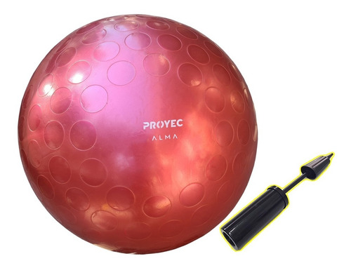 Imagen 1 de 5 de Pelota Yoga Esferodinamica Para Pilates Embarazadas 65 Cm