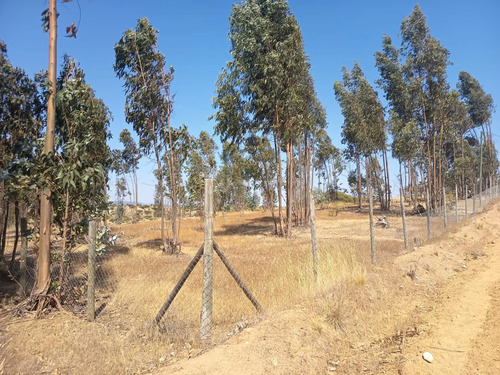 Oportunidad Parcela En Peralillo 5000 M2