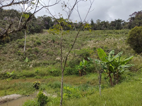 Imagem 25 de 25 de Juquitiba/sitio Com Lago/bom Para Plantar Ou Criar