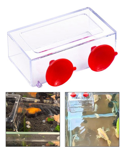 Anillo De Alimentación De Pescado Estación De Acuario De S
