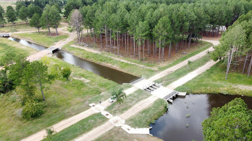 Imagen 12 de 30 de Lotes A La Venta En La Aldea Club De Campo - Colon Entre Rios Desde Usd 38.000!