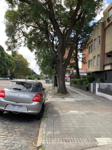 Imagen 16 de 17 de Apartamento 3 Dormitorios En Alquiler En Punta Carretas