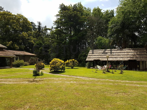 Imagen 9 de 24 de Venta Casa Quinta-5 Ambientes-quincho/pileta