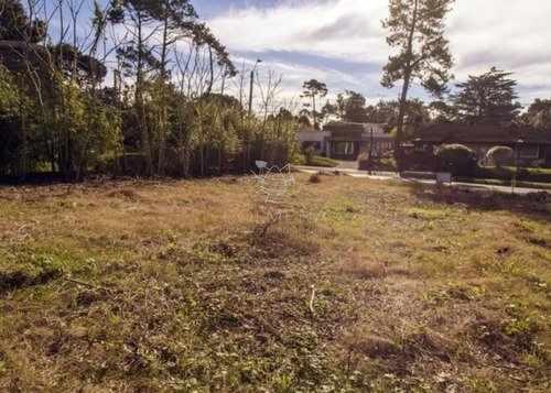 Imagen 2 de 4 de Terreno En Pinares Pda 32 De Playa Mansa - Punta Del Este Pinares