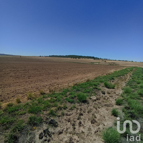 Venta Terreno 0 Ambiente Jacal De La Piedad