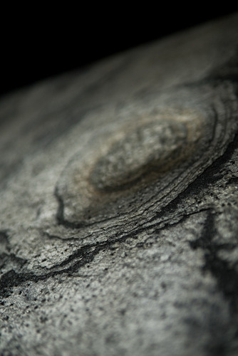 Revestimiento Piedra Flexible Alecrim Xl (2,44m X 1,22m)