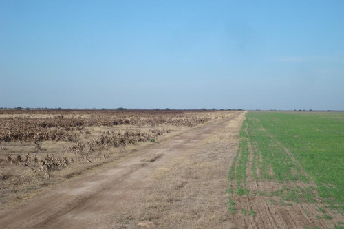Imagen 4 de 6 de Campo El Venados Grandes Chaco 3200 Hectareas