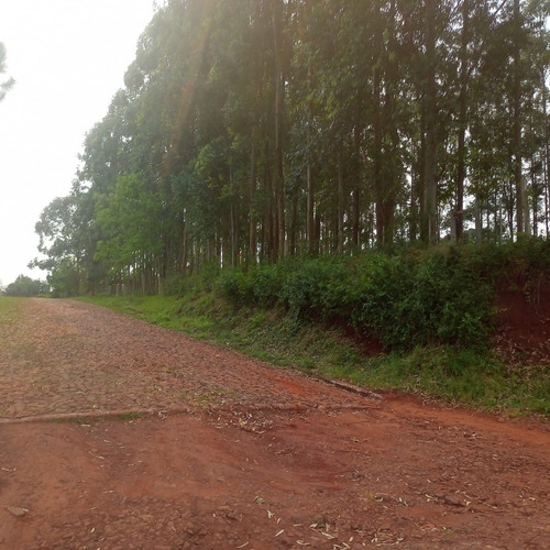 1,35 Hectareas (13.500m2) En Pleno Acceso A Santa Ana, Misiones.