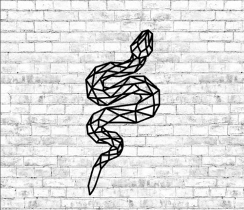 Cuadro Decorativo Figura Geometrica Madera Serpiente Rectil