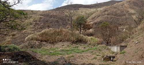 Jc - Terreno 8.000 M2. Alquiler O Venta. Frente A La Autopista Regional Del Centro - Paracotos. Edo Miranda