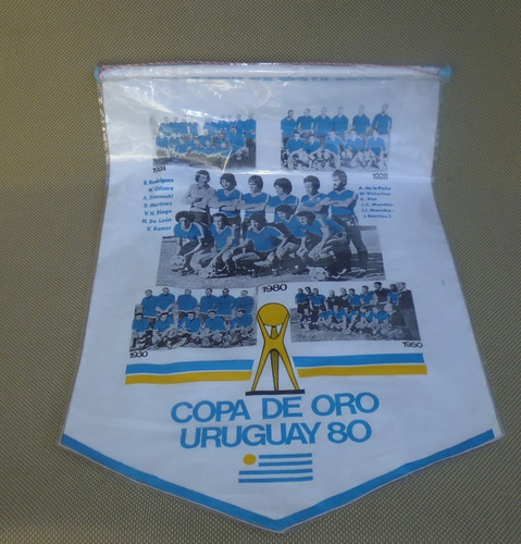 Banderín  Copa De Oro 1980