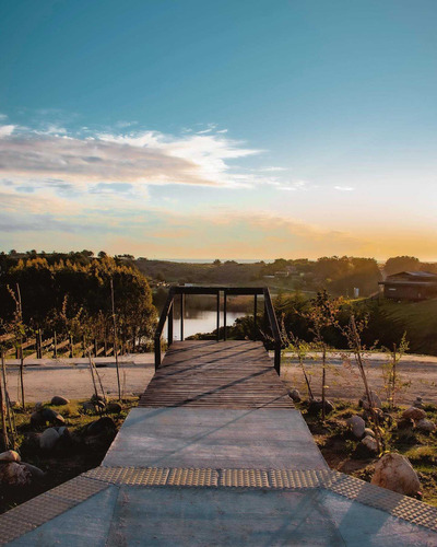 Pichilemu /punta De Lobos (74859)