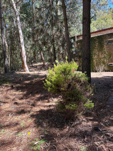 El Pinar La Lucila Del Mar - Apta Banco - 3 Dorm