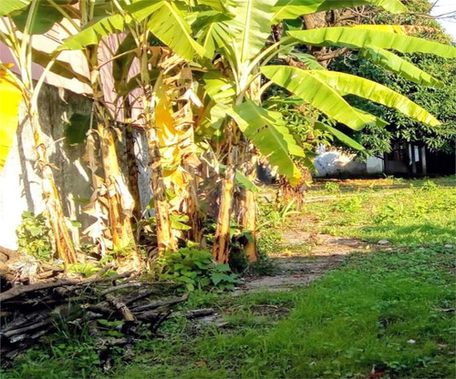 Imagem 14 de 16 de Terreno - Reo473496