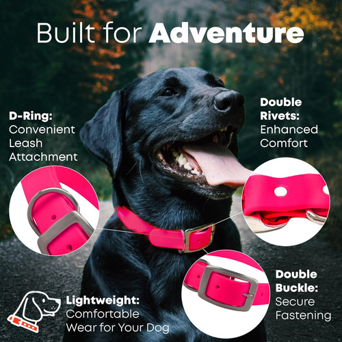 Regal Dog Products Collar Para Perro Grande Rosa Con Doble H