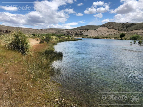 Imagen 15 de 30 de Campo En Venta En Rio Negro - Exclusivo Sobre El Rio Limay. Ideal Flyfishing!
