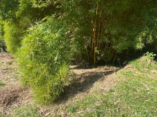 4 Lotes En Venta En El Peñol