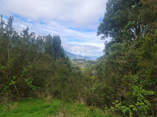 Oportunidad! Parcela Con Frutales, Vista Volcán Y Riachuelo