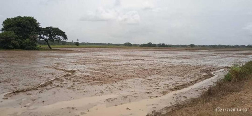 Imagen 10 de 28 de Finca En Venta Guarico