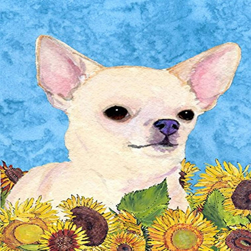 Carolines Treasures Ss4241gf Chihuahua En Verano Flores Band