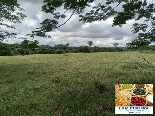 Imagem 3 de 13 de Fazenda À Venda Em Cristalândia - To - 1,302 Hec Planta Soja - 1629
