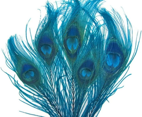 Imagen 2 de 4 de Pluma Pavo Real Cola Real; Turquesa Teñido; 5 Pieza Pack