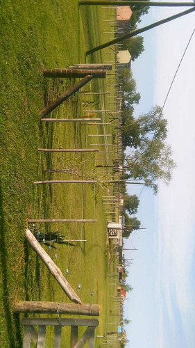 Imagen 2 de 3 de Lote En Venta Domselar Chico