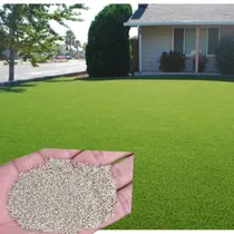 Comprar Semillas De Grass Bermuda Premium 2 Kg
