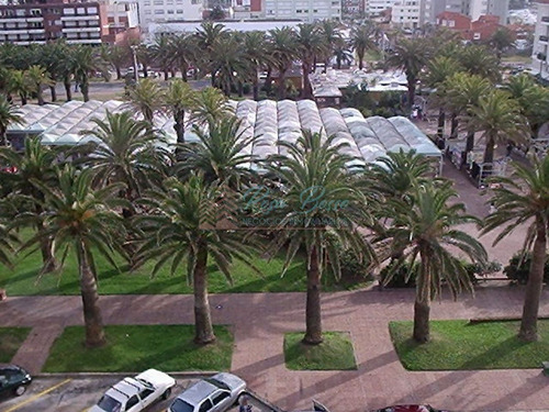 Imagen 6 de 18 de Apartamento En Peninsula, 3 Dormitorios *