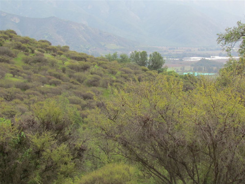 Parcela De Alta Plusvalia, Condominio Oasis La Campana Olmue