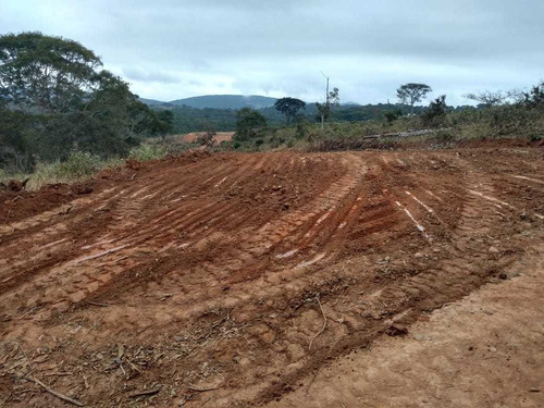 Imagem 9 de 9 de Lotes De 1000 M Quadrados
