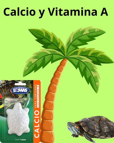 Calcio Y Vitamina A Para Tortugas