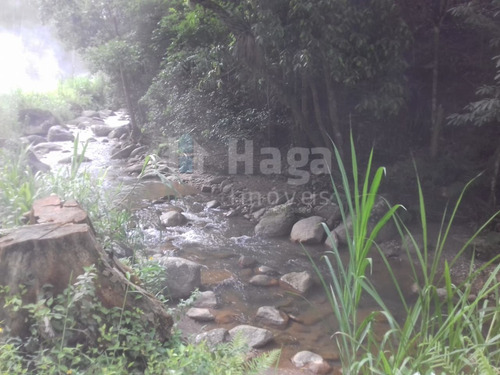 Imagem 9 de 9 de Terreno Rural Para Sítio Ou Chácara A Venda Em Botuverá/sc - 1699c