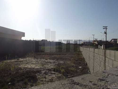 Imagem 21 de 30 de Terreno - Te00031 - 3240162
