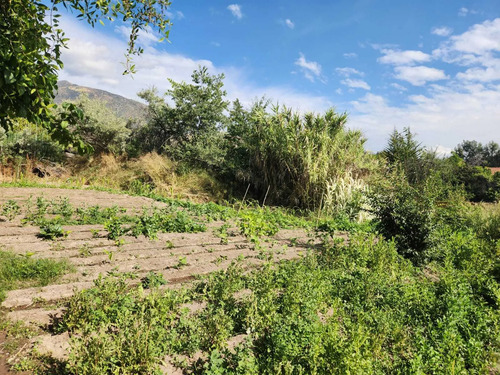 Hacienda De 5.000 M² En Lo Cañas Con Riego (173166)