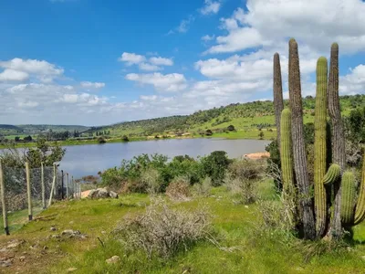 Parcela en venta