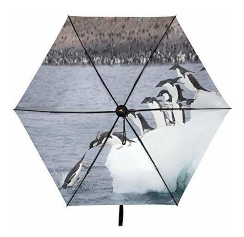 Sombrilla O Paraguas - Cute Animal Arctic Penguin Parasol Co