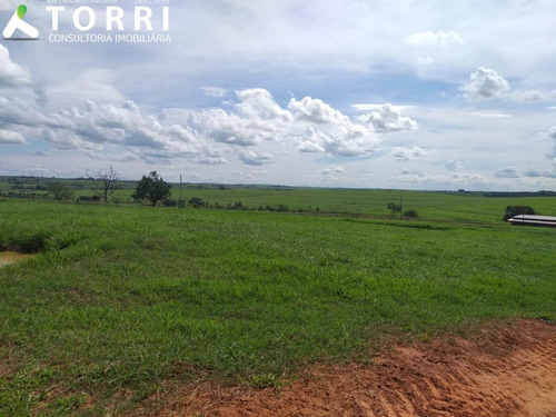 Imagem 15 de 20 de Fazenda À Venda Em Alto Alegre - Fa00176 - 69382951