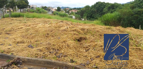 Imagem 6 de 9 de Terreno - Te00048 - 68374948