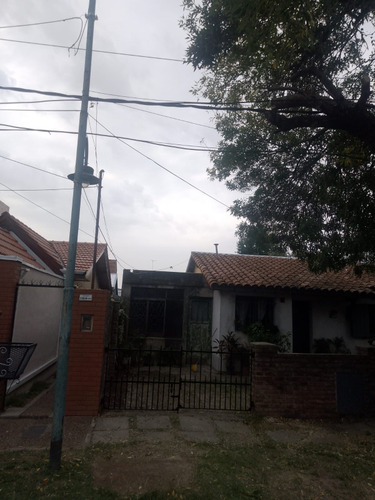 Poda En Altura - Poda De Cercos Y Jardinería En General.